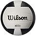 Wilson I-COR High Performance Indoor Volleyball