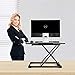 Hippo & Frog Standing Desk Height Adjustable Standing Desk Converter Sit to Stand Desk Riser