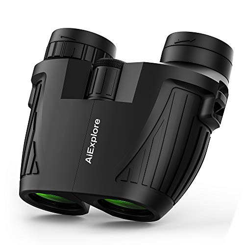 12x25 Compact Pocket Folding Binoculars for Adults/Kids, Low Light Night Vision Large Eyepiece High Power Waterproof Mini Lightweight Binoculars Easy Focus for Outdoor Hunting, Bird Watching, Hiking