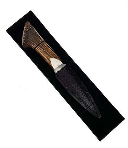 Genuine Full Crown Stag Horn Sgian Dubh with Stainless Steel Blade - Thumbnail 5
