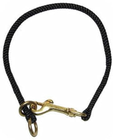 pictures of brittany spaniels