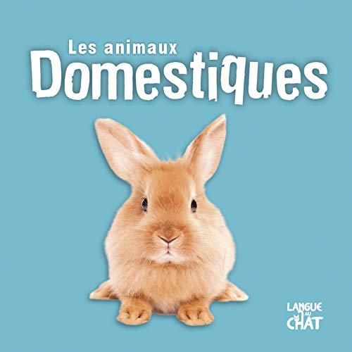 Amazon Com Mes Animaux Domestiques Les Mots De Bebe French Edition Collectif Books