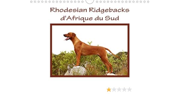 le rhodesian ridgeback