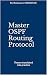 Master OSPF Routing Protocol: Theory translated into practice