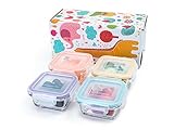 Glass Baby Food Storage Containers - Mini 4 oz Containers Gift Set (4 Containers)
