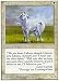 Magic: the Gathering - Pearled Unicorn - Fifth Edition