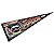 Jeff Gordon 9x24 Inch Pennant and Banner