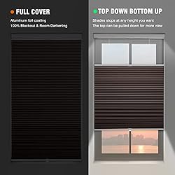 Changshade Blackout Cellular Shades Cordless, Top