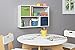 ClosetMaid 1580 Cubicals Mini Off-Set Organizer, White