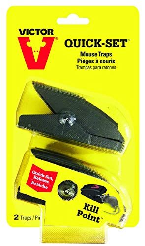 Woodstream M137 Mouse Trap, 2-Pk