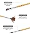 Dynamic Distraction Acrylic and Watercolor Paint Brushes Set of 12 - Comfortable Handle Size - Professional Artist Quality Brush - Perfect Gift for Artists, Adults and Students