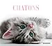 Chatons by