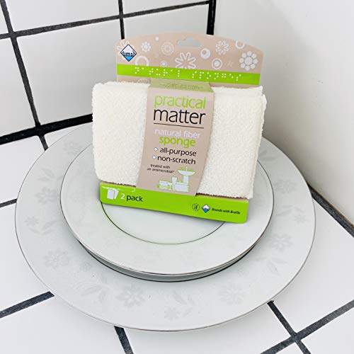 Practical Matter Organic Cotton Fiber All-Purpose Kitchen Sponge (Pack of 2)