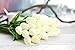 COOBL Artificial Silk Flower High Grade Decorative Tulip Flower Wedding Bouquet Bride Holding Garlands Vine DIY Floral Art Plant Bride Home Decor(20pcs) (White)