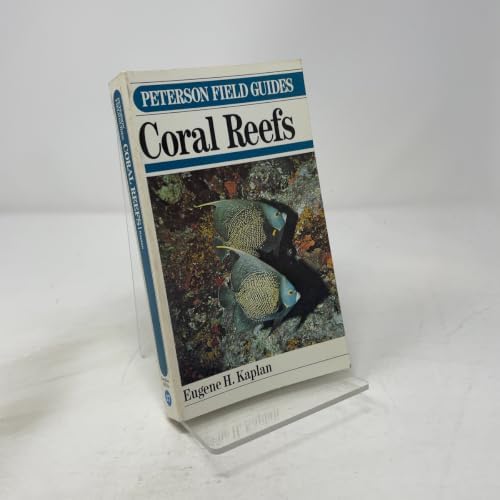 Red Sea Reef Guide: Debelius, Helmut: 9780953891900: Amazon.com: Books