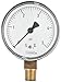 NOSHOK 200 Series Steel Dry Dial Indicating Low Pressure Diaphragm Gauge with Bottom Mount, 2-1/2