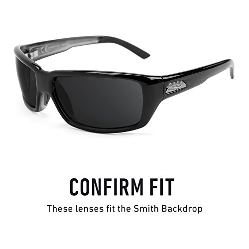 Revant Replacement Lenses for Smith Backdrop Stealth Black