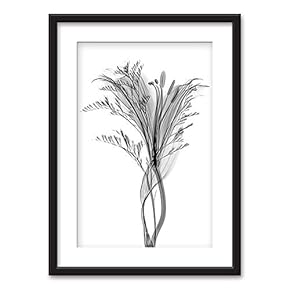 Framed Flowers Art in Black Picture Frames White Matting