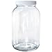 (2 Pack) 1 Gallon Clear Glass Jar with White Plastic Cap (110/400)