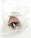 EISCO Red Sandstone Specimen (Sedimentary Rock), Approx. 1