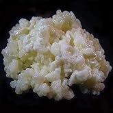 1 TBSP Milk Kefir Grains - Fresh Probiotic Starter Culture - Fusion Teas | Live, Active Grains (Bulgaros) For Homemade Milk Kefir; Includes Milk Kefir Unleashed eBook by Thomas Egbert