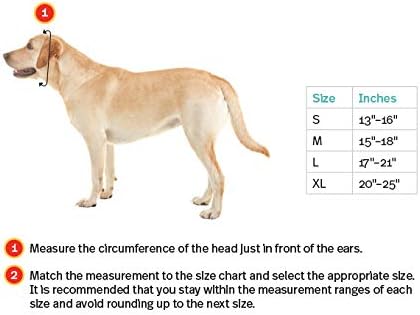 dog ear compression bandage