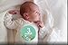 Monthly Baby Stickers | Waterproof Newborn Boys Girls Milestone Stickers | PAMBO Infant Age Belly Chalk Stickers | Scrapbook Photo Keepsake/Shower Gift Idea | 16in1