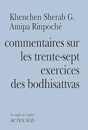 Commentaires sur Les trente-sept exercices des bodhisattvas de Thogmet Zangpo