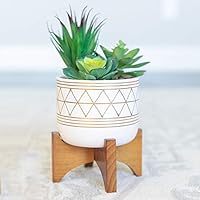 Flora Bunda Artificial Succulents in 5 Inch White Gold Line Geometric Ceramic Planter with Wood Stand Mid Century