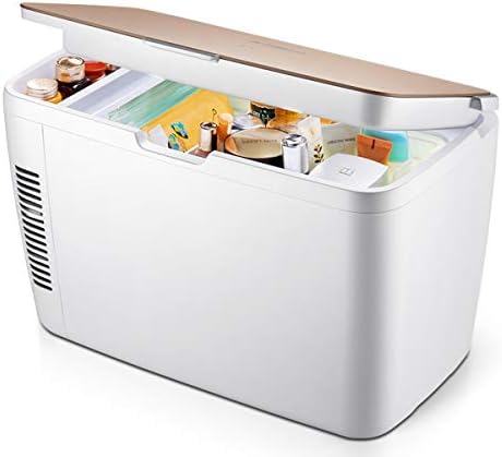 Fridges Mini Refrigerator Electric Cooler Warmer, Car Refrigerator with Dual Voltage 12V DC/220-240V AC for Car and Home, 12L Portable Cool Box for Travel, Camping [Energy Class A++]