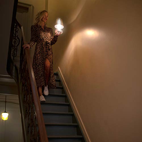 Fatboy-TRANLJE-BRN-Transloetje-Brown