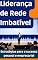 Livro Liderança de Rede Imbatível: Estratégias para o sucesso pessoal e empresarial