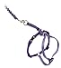 PetSafe Come with Me Kitty Harness and Bungee Leash, Medium, Lilac