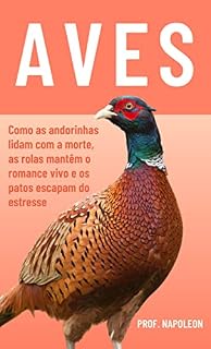 Livro A incrível filosofia dos pássaros: Como as andorinhas lidam com a morte, as rolas mantêm o romance vivo e os patos escapam do estresse