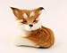 nanguawu Little Fox Sitting Fengshui Learning Resources Miniature Plush Stuffed Animal Toy