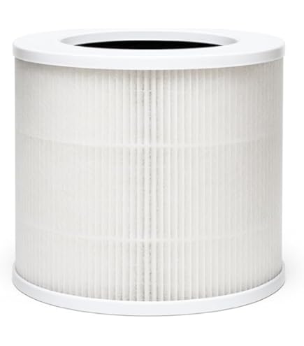 ATMOHPERE AIR PURIFIER フィルター Amazon.com: ZXBEER AP380 Air Purifier + 2Pack Genuine Replacement