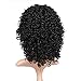 WIGNEE Remy Human Hair Afro Kinky Curly Wigs for Women Afro Full Wigs with Free Wig Cap (10 inch)