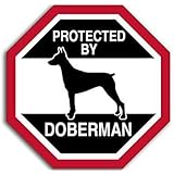 JR Studio4x4 inch Octangular Protected by Doberman Sticker (Funny Dog Breed Love) Vinyl Decal Sticker Car Waterproof Car Decal Bumper Sticker