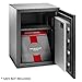 EVERSTRONG 15x11 Inch Non-Itchy Fireproof Bag: Fire Safe Box Accessory for Money, Passport, Jewelry & Important Documents