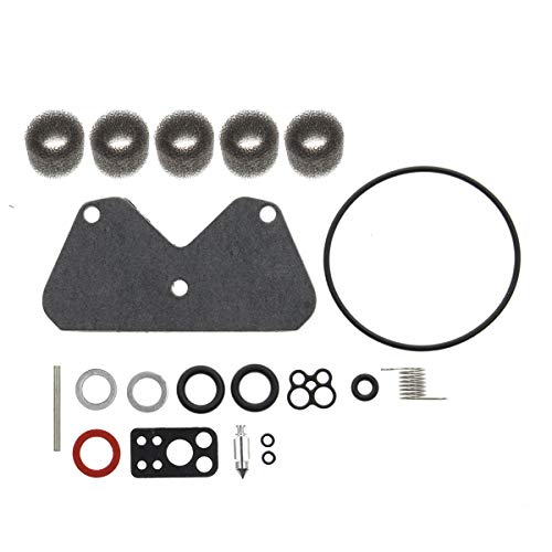 2 AUTOKAY+Carburetor+Overhaul+Stratton+Vertical