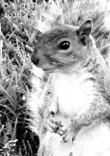 MY BIG FAT CALENDAR 2018 - SQUIRREL (Great Britain): 1 day per DIN A4 page, lined