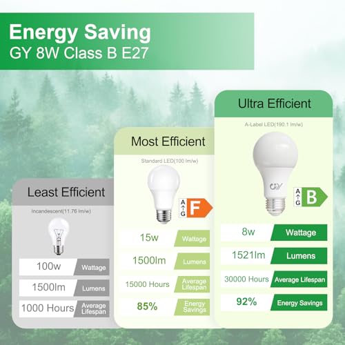 GY E27 LED Warm White Light Bulb, 8 W 1521 LM Energy Saving Bulb, Replaces 100 W Bulbs, Energy Efficiency Class B, A60 LED Warm White, Beam Angle 360° Bulb, Not Dimmable, Pack of 6
