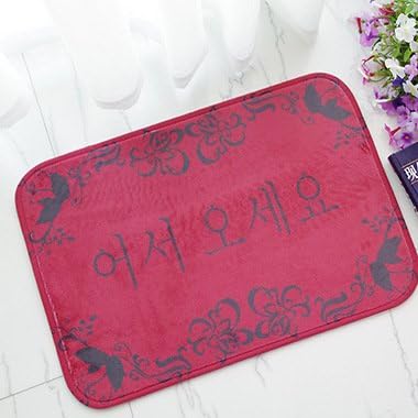 RicenOhe Korean Welcome Flannel Non-Slip Entry Way Floor Mat Outdoor Indoor Decor Rug Doormats, 15.7-Inch x 23.6-Inch