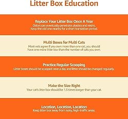 Amazon Basics Large Cat Litter Box with High