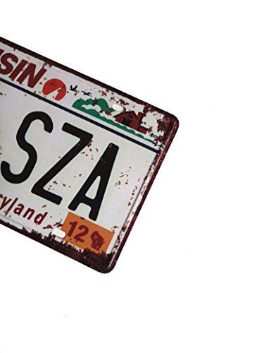 ERLOOD Wisconsin 170-SZA Retro Vintage Home Bar Wall Decor Car Vehicle Auto License Plate Metal Tin Sign Plaque Embossed Tag Size 6 X 12