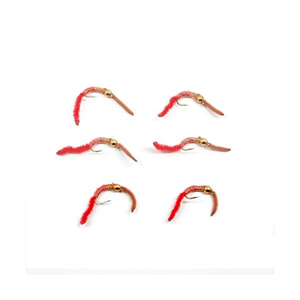 Trout-Nymph-Fly-San-Juan-Worm-Power-Bead-12-Dozen-BrownRed-10-Set-of-6-Nymph-Wet-Flies