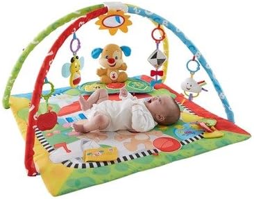 gimnasio rie y aprende fisher price