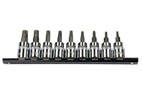 Bergen 9PC 3/8" DR Torx Plus Bit Sockets On Rail 1293