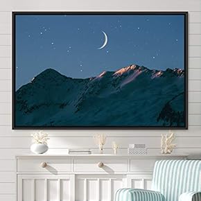 signwin Framed Canvas Wall Art Lunar Aerial Astronomy...