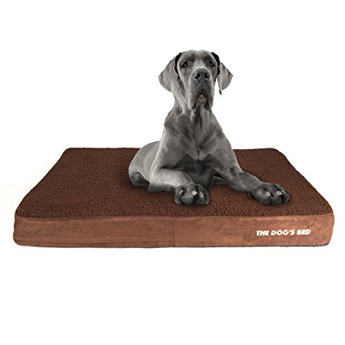 Top 5 Extra Large Dog Beds for Mastiffs DogVills